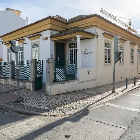 Le Penguin Hostel *