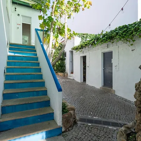 Le Penguin * District de Faro
