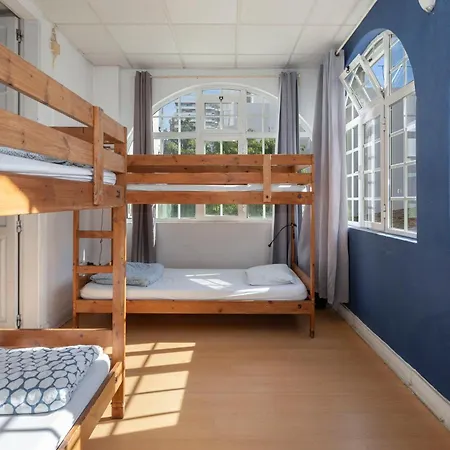 Le Penguin Distretto di Faro