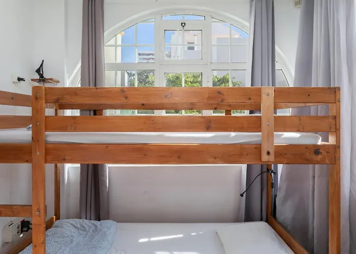 Le Penguin * פארו